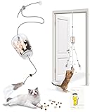 Interactive Cat Treat Dispenser Toy, Hanging Puzzle Toy for Slow Feeding & Cat Weight Loss, with Feather Teaser, Enrichment for Indoor Cats