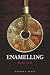 Enamelling (Jewellery Handbooks)