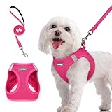 rabbitgoo Dog Harness Small Sized and Leash Set, Step in Soft Light Puppy Vest, Breathable Mesh Pet Harness, Reflective for Safe Easy Walking, Rose Red M