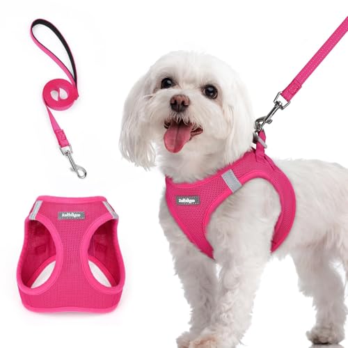 rabbitgoo Dog Harness Small Sized and Leash Set, Step in Soft Light Puppy Vest, Breathable Mesh Pet Harness, Reflective for Safe Easy Walking, Rose Red M