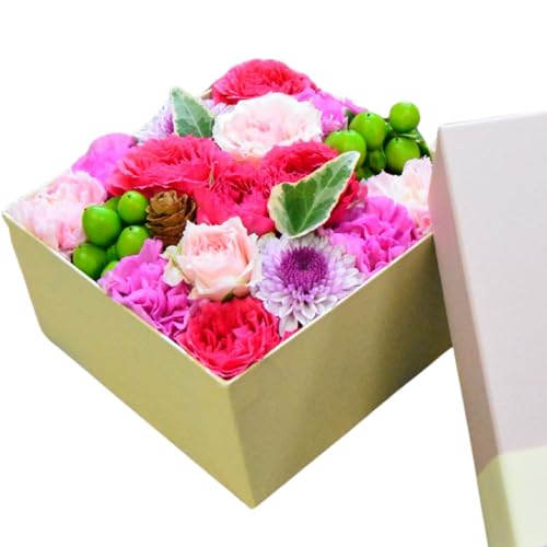 ARNEiAlj  {bNX t[AWg t[Mtg a v[g AW  j oYj @ysN×Fz