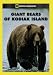 Giant Bears of Kodiak Island