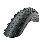 Schwalbe