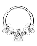 CM Crareesi Mania Piercing Septum Flores Anillo Daith 316L Acero Quirúrgico 16G Piercing Helix CZ Claro Plata Oro Anillo Daith Clicker 10mm Oreja Cartílago Joya para Mujeres, 16G10MM, Circonia cúbica