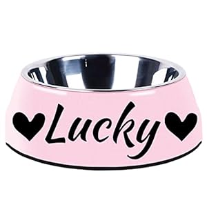 Personalised Dog Bowls Separate Type Design Cat Bowl Custom Pet Dog Cat Name Food Water Bowl Non-Slip Bottom Puppy Bowl (Pink)