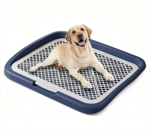 Xy[XgCg[  gC  gCg[ Ch ϋvh݌v ^Ή ͂ݏoh~ ^Ή ֗ p֊ ^ r V[cΉ Ch݌v gCg[ pgC{bNX/O ^ ^