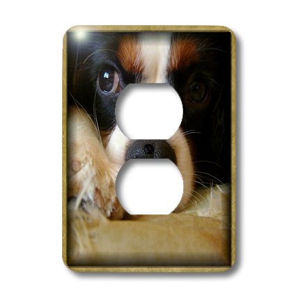 Housse protection chiot King Charles 3dRose contre l'usure murale