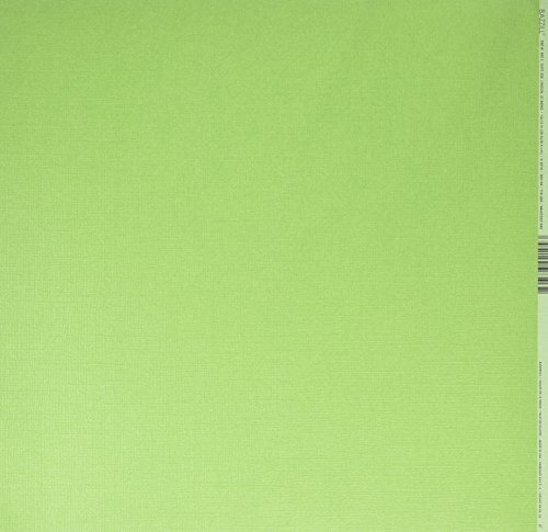 Bazzill (バジル) シマーフィニッシュ カードストック Bling - 12 x 12 - Bank Roll 302104