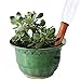 WMSB Plant Watering Spikes Set of 4 Water Plants with This Great House Plant Watering System Perfect as a Plant Waterer and Amazing for Vacation Plant Waterin
