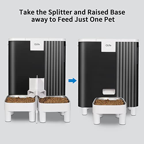 Qlife Automatic Cat Dog Feeder: Dry Food Dispenser For Dog, Auto Pet Feeder, Portion Control Automatic Dog Feeder (Black Wifi, 6L) #TOP7