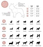 Pepolli Hundegeschirr verstellbar | Geschirr für Franz. Bulldogge, Frenchie, Frenchbulldog, Mops (M (Hals 37–40 cm, Brust 51–71 cm)