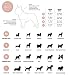 Pepolli Hundegeschirr verstellbar | Geschirr für Franz. Bulldogge, Frenchie, Frenchbulldog, Mops (M (Hals 37–40 cm, Brust 51–71 cm)