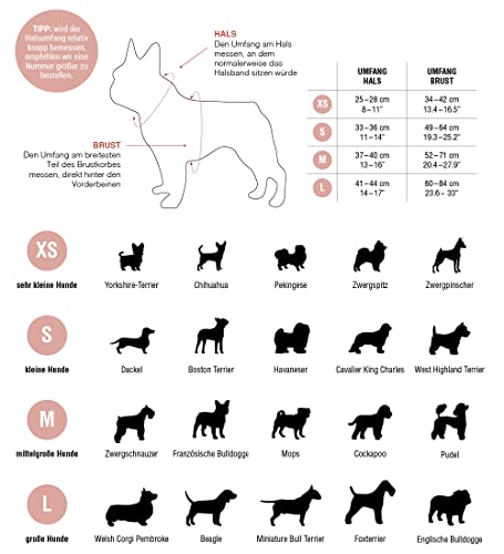 Pepolli Hundegeschirr | Geschirr für Französische Bulldogge, Frenchie, Frenchbulldog, Mops (S (Hals 33–36 cm, Brust 49 – 64 cm), MC French)