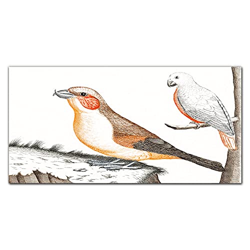 Tableau en verre 100x50cm oiseaux design moderne