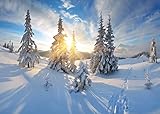 BELECO 5x3ft Fabric Winter Mountains Photography Backdrop Frosty Morning Sunrise Xmas Frozen Snow Trees Natural Wintry Scene Background for Christmas New Year Party Decorations Holiday Photo Props