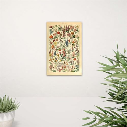 Meishe Art Vintage Poster Print Flower Floral Botanical Collections Garden Flowers and Plants Identification Reference Chart Diagram Home Wall Decor - Image 6
