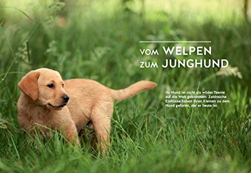 Wenn der Welpe zum halbstarken Hund wird: Gelassen durch die Hunde-Pubertät (überarbeitete und aktualisierte Neuausgabe) (GU Welpen)