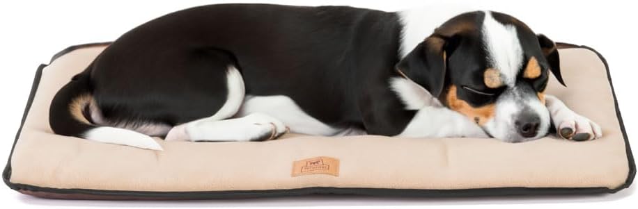 Ferplast Dog Bed Dog Cushion Dog Bed Medium Double Sided Scratch-Proof and Waterproof Fabric, Warm Microfleece 30° Machine Washable Dog Mattress 65 x 48 x 3,5 cm.Brown