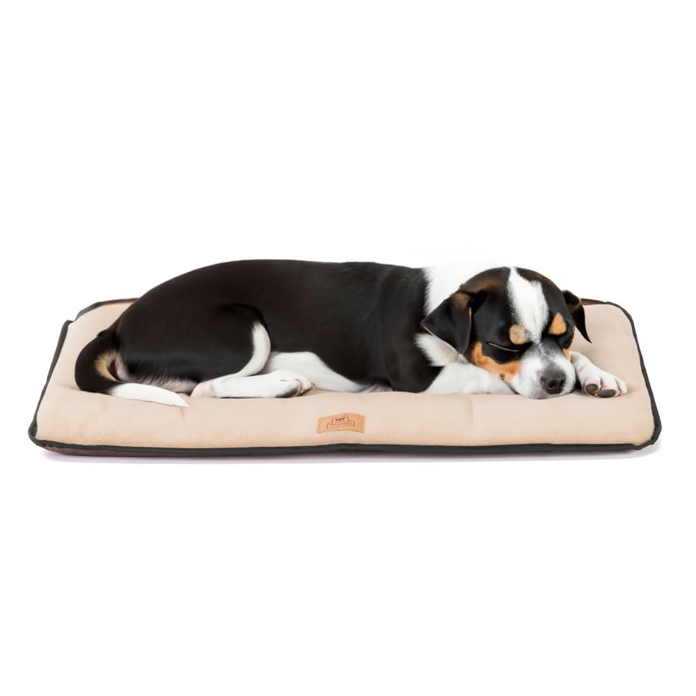 Coussin pour chien lavable pour éliminer les odeurs, matelas anti-griffe imperméable