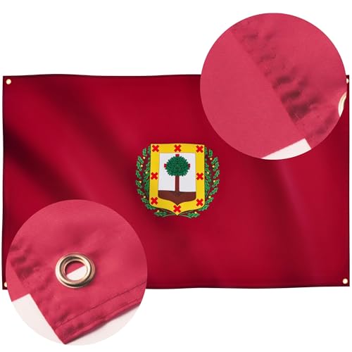 Runesol Vizcaya Flag, 91x152cm, 3ft x 5ft, 4 Grommets, Eyelet In Every Corner, Spanish Regional Flag, Biscay - Image 4