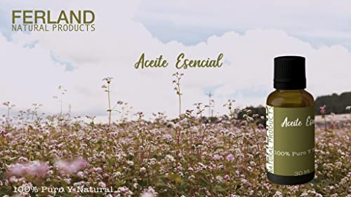 Aceites, Imagen adicional