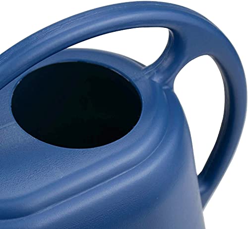 Fasmov Plastic Watering Can, 1-Gallon, Blue #TOP2