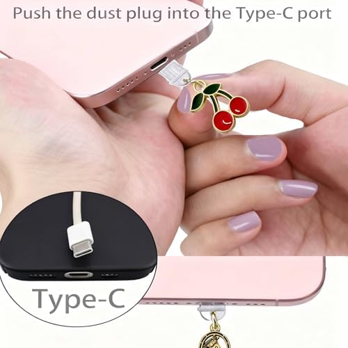 6PCS Shell Dust Plug Charm,Compatible with Kindle Type C Charging Ports - 2