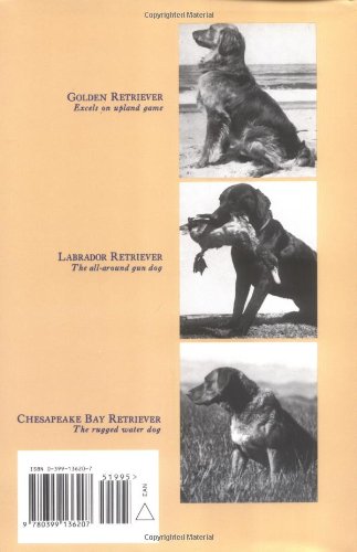 Training Your Retriever