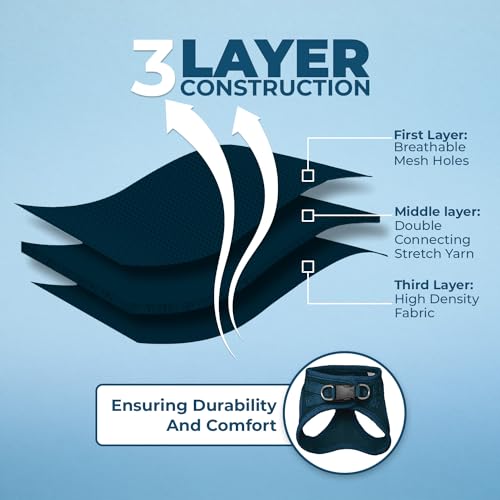 Best Pet Supplies Voyager Step-in Air All Weather Mesh Harness and Reflective Dog 5 ft Leash Combo with Neoprene Handle, for Small, Medium and Large Breed Puppies - Set (Blue), S