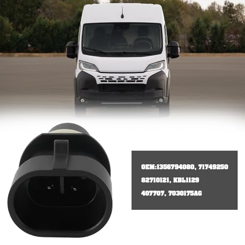 EMSea 2 Stück 2-polige Auto-Markierungsleuchten-Buchse 1356794080 71749250, kompatibel mit Fiat Ducato Bus, kompatibel mit Ducato Kasten 36 x 20 x 18 mm