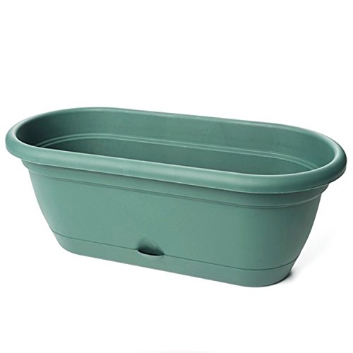 Bloem Living LWB1852 6-Pack Lucca Self-Watering Window Box, 18-Inch, Midsummer Night