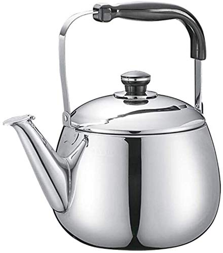 Teapot 5L SHISHI pour savourer un grand thé en famille sur plaque induction