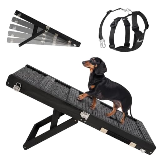 Pawaboo Dog Safety Vest Harness, Pet Car Harness Vehicle Seat Belt with Adjustable Strap and Buckle Clip, Easy Control for Driving Traveling Safety for Small Medium Dogs Cats, Medium, Black