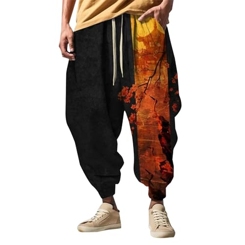 Pantalones de ocio para hombre estilo harén holgados con estampado colorido