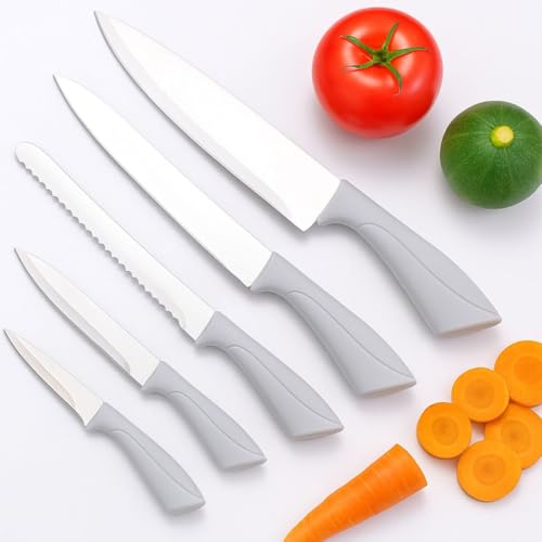 ZUNOVI Juego de Cuchillos Cocina, Set de 5 Cuchillos de Acero Inoxidable con Mango Ergonómico | Utensilios de Cocina para Carne, Vegetales, Frutas y Pan | Accesorios cocina (Gris Claro)