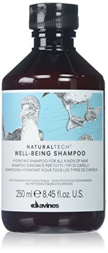 Preisvergleich Produktbild Davines Naturaltech Well-Being Shampoo 250ml