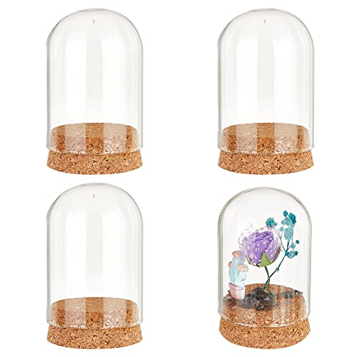 NBEADS 4 Sets Eternal Flower Glass Display Dome Cloche, 7x5cm Glass Display with Cork Stoppers Half Round Clear Glass Display Case Decoration Cloche Bell Jar Cloche for Wedding Valentine's Day