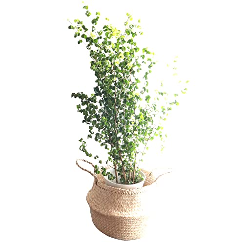 t[Lb` ϗt xW~obN7{t[fBXJo[k FKTK