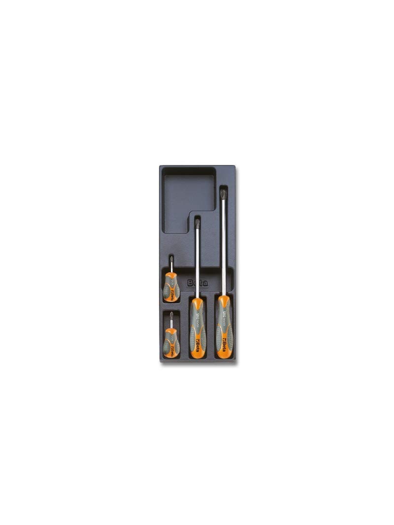 T173 rangement thermoformé rigide pour organiser 4 outils