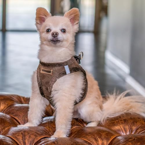 Voyager Step-In Plüsch-Hundegeschirr by Best Pet Supplies - Step-In-Westengeschirr für kleine und mittelgroße Hunde, Weicher Plüsch, Schokolader, size M - Brust 40- 45 cm
