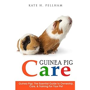 Guinea Pigs The Essential Guide To Ownership Care Training For Your Pet Guinea Pig Care Paperback July 9 2015