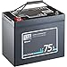 Produktbild ECTIVE LiFePO4 Batterie LC75L BT - 12V, 75Ah, 960Wh, Bluetooth inklusive App - Lithium-Eisenphosphat Versorgungsbatterie, Bootsbatterie, Solarbatterie für Wohnwagen, Wohnmobil, Camper