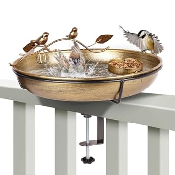 Wall Mounted Bird Baths: Which 5 Will Transform Your Garden? 2 wall mounted bird baths