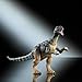 Mattel Jurassic World Hammond Collection Dinosaur Action Figure Mussaurus, Premium Design with Realistic Eyes, 15 Articulated Joints & Extra Feet