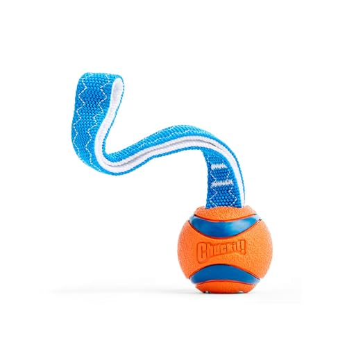 Chuckit! CH231101 Ultra Tug Small, Orange/Blau