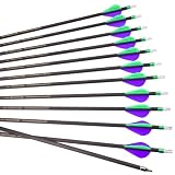 PHILOCS 12pc 29-Inch Spine-300 Arrow Removable Tips Targeting Hunting Arrow Plastic Fletching 2 Inch Vane Carbon Arrows for Compound Bow Recurve Bow Adult Youth Archery Purple Green