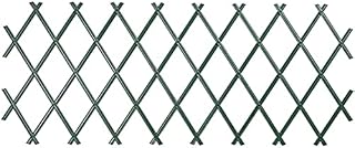 St@llion Expanding Green Plastic Wall Foldable Trellis Fence Flower Shrubs Vegetables Obstacle Frame Outdoor Climbing Plant Expansion Trellis, (Pack of 1)