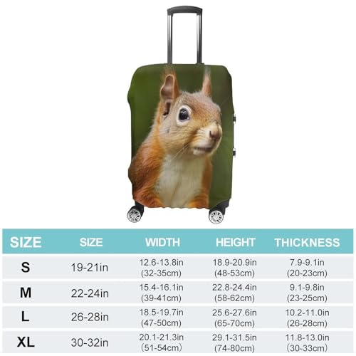 Carry on Luggage Cover Squirrel Suitcase Covers for Luggages Tsa Approved Travel Luggage Sleeve Protector Elastic Suitcase Protector Anti-Scratch Washable Fits 19-30 Inch Case -L2
