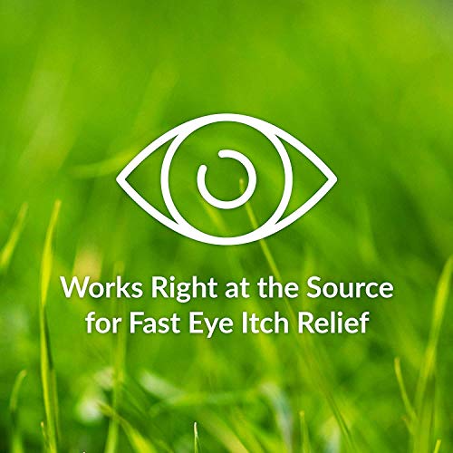 Alaway Allergy Eye Drops, Preservative Free Antihistamine Eye Drop For Up To 12 Hours Of Dry Eye And Eye Itch Relief, 20 Single-Dose Vials (Pack Of 2) #TOP3