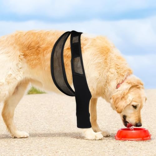 PARFCO Leckschutz Hund Hinterbein, Hunde Kniebandage Hinterbein für Vorder und Hinterbeine, Schwarz Leckschutz Hinterbein Hund für Ellbogenschutz Stütze, XL